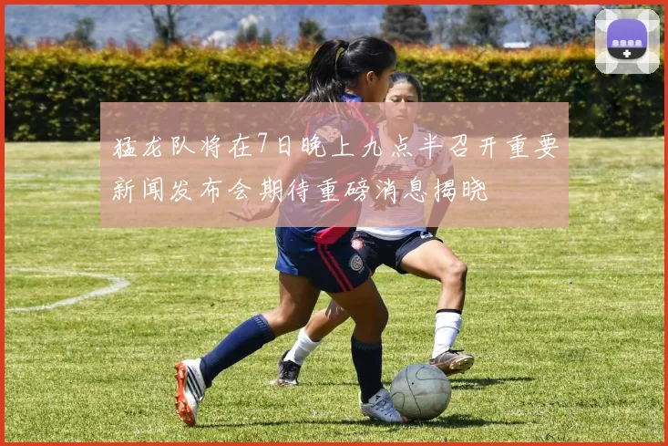 猛龙队将在7日晚上九点半召开重要新闻发布会期待重磅消息揭晓
