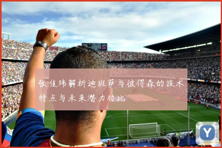 张佳玮解析迪班萨与彼得森的技术特点与未来潜力对比