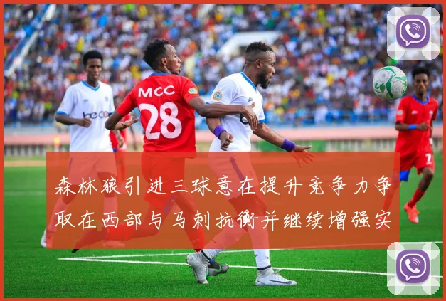 森林狼引进三球意在提升竞争力争取在西部与马刺抗衡并继续增强实力